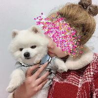 qhzn的化身