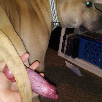 drakeriddik的化身