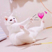 locus的化身