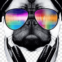 8198081720101138 Avatar