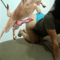 wishzoo Avatar