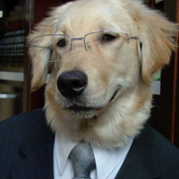 zoomaster69的化身