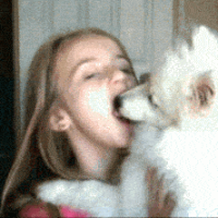 friendlydoggy的化身