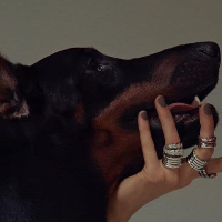 skoofter011的化身