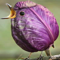 wertzuiop123的化身