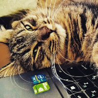 jennifer1050的化身