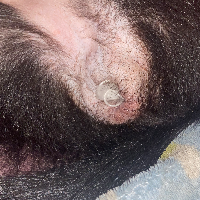 horselover1997的化身