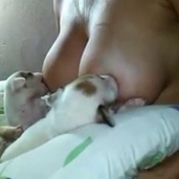 pablopikaso347的化身