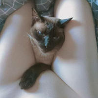 jeferson814317的化身