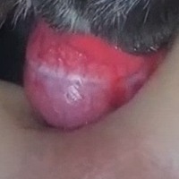 btm4taboo6的化身