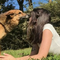 leticia_mferrari Avatar