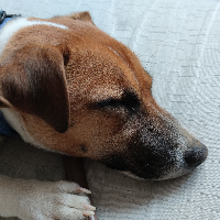 patrick94bio的化身