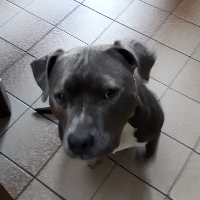 walteralangli58 Avatar