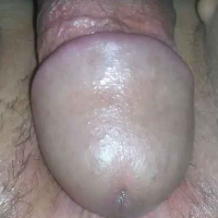 monster的化身