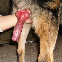 hotbutternot的化身