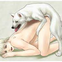 creativefollower Avatar