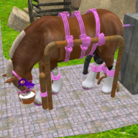 gaydraftstudsteel Avatar