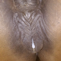 hevostelija的化身