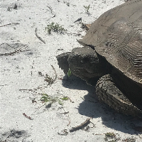 iserfriendly43 Avatar