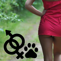 diane Avatar