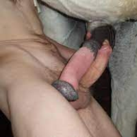 JeropaDePrimera Avatar