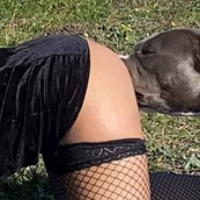 thebitchlover的化身