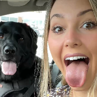 doggydogdog的化身