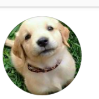 suraj's Avatar
