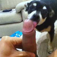 bbpuppy的化身