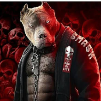 pitbulljj Avatar