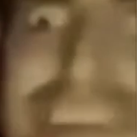 роготого的化身