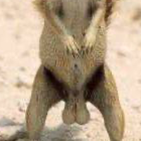 youwanttomovetousa Avatar