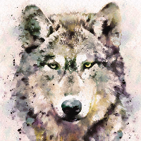 wernir's Avatar