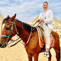 malak_allam的化身