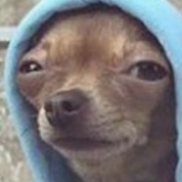 thesouplover的化身