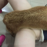 wanglei1102的化身