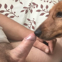 talisman1313的化身