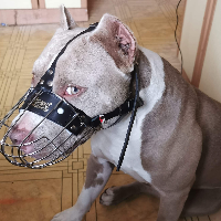 kazior's Avatar