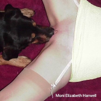 nancymartin的化身