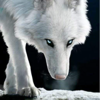 BlindWolf的化身