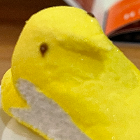 DavidXxx的化身