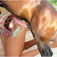 knottingdog的化身