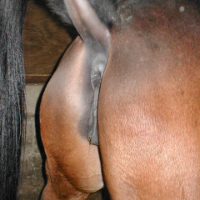 69studmuffin69 Avatar