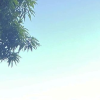 gabydogslut的化身