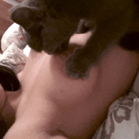 reyeswijaya25 Avatar