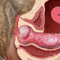 deeplyknotted的化身