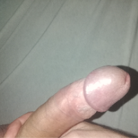 ginsengbazs的化身