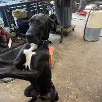 jbtheking518's Avatar