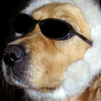 jackdanniels's Avatar