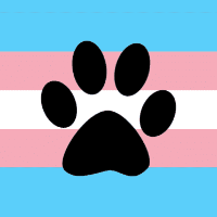 knotmyholes Avatar